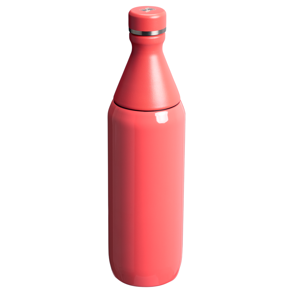 All Day Slim Bottle | Stanley Create